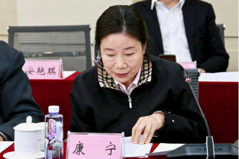 中国教育发展战略学会常务副会长康宁致辞