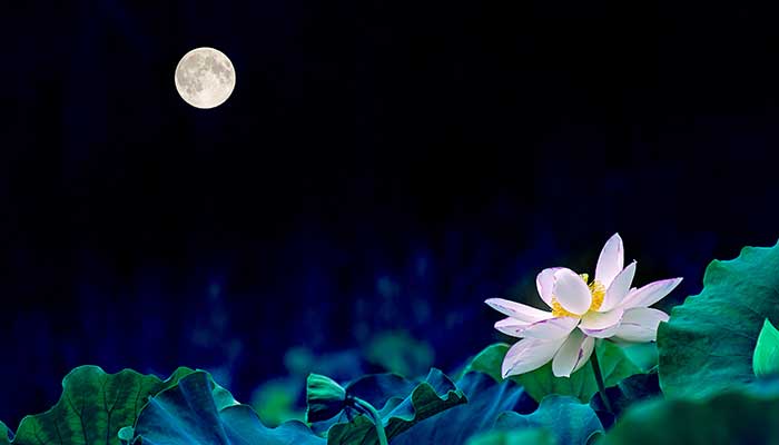 梦见月光有什么征兆 梦到月光什么意思
